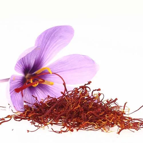 Saffron as Base Herb for Herbal Tea