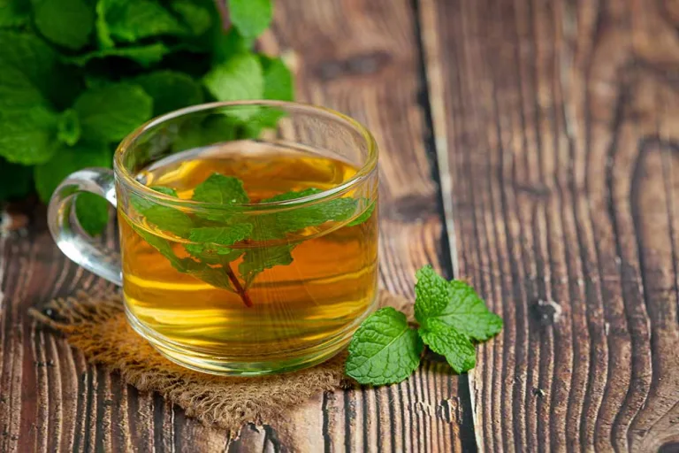 Everything you should know about Peppermint Tea, its Origin, Brewing Recipes and Health Benefits