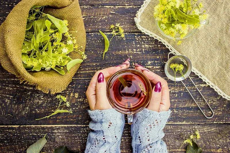 Drinking Herbal Teas to Prevent Illness as a Part of the Holistic Health Movement