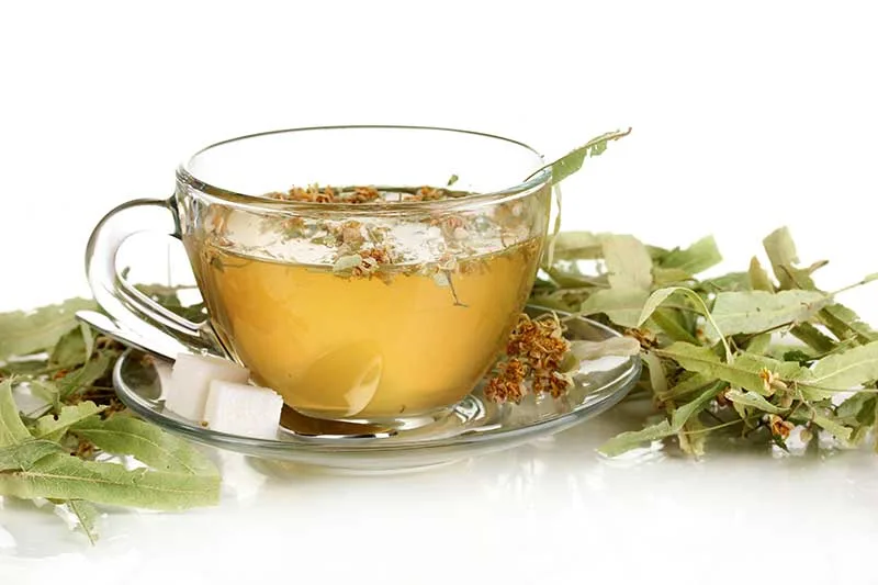 Sage Herbal Blend Tea