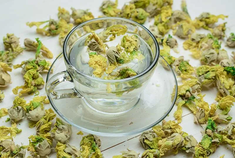 Greek Mountain Tea
