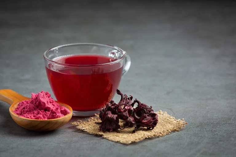 Hibiscus or Sour Tea Origin, Health Benefits and Best Hot and Cold Recipes