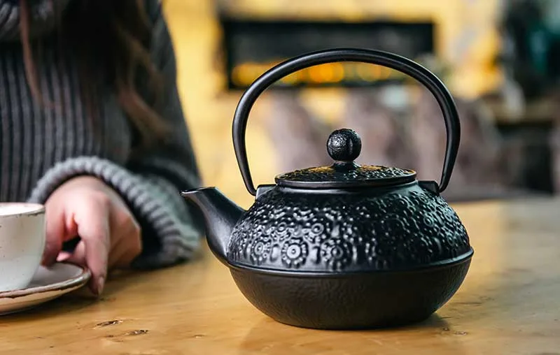 Cast Iron Teapot - Tetsubin Teapot