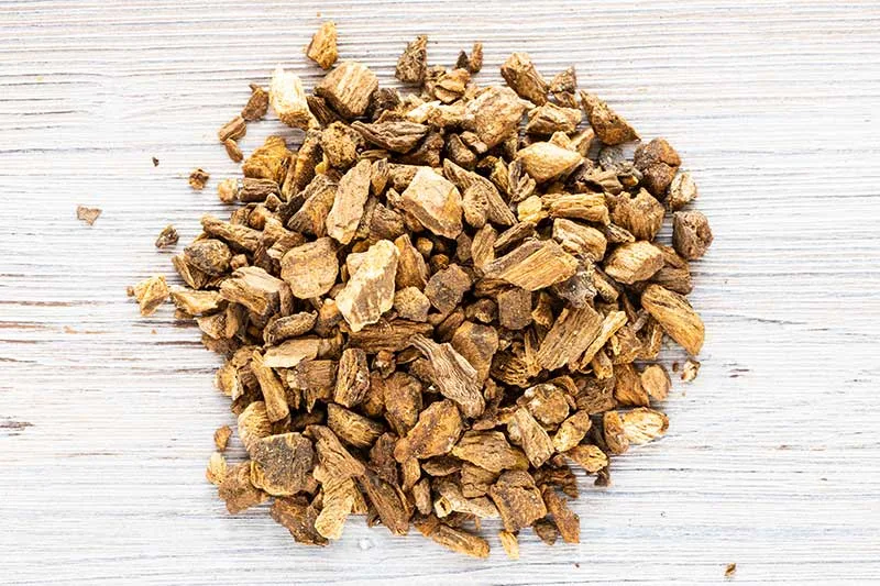 Gentian Root Tea
