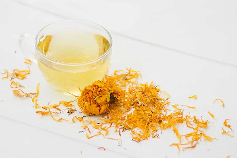 Dandelion Tea