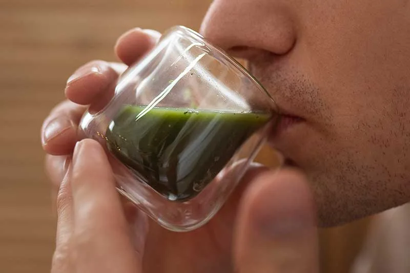 The Role of Green Tea in Traditional and Modern Medicine