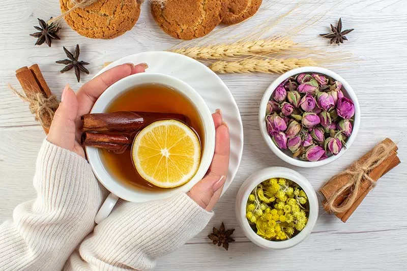 Collection of Best Herbal Teas for Women's Health