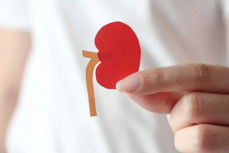 Best Herbal Teas to Boost Kidney Functions and Prevent Kidney Stones