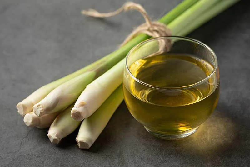 Lemongrass Tea