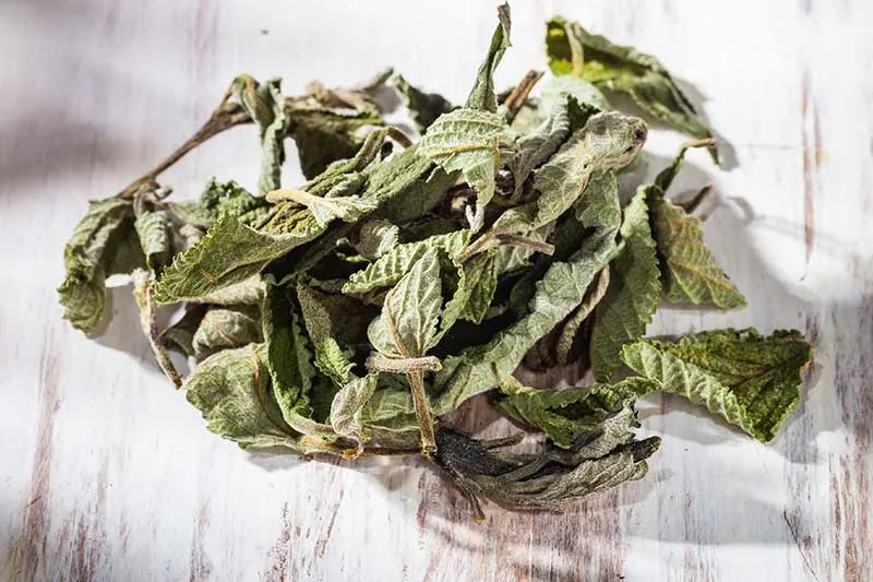 Dried Stinging Nettle Leaves