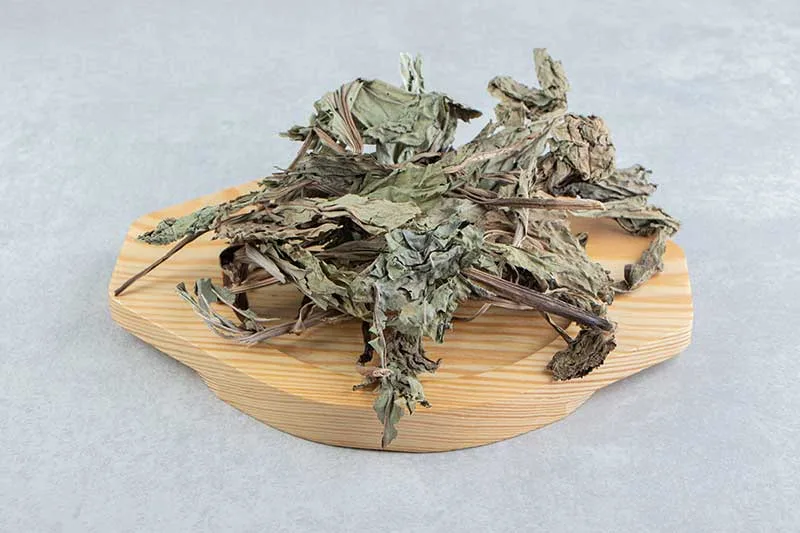 Stinging Nettle Tea