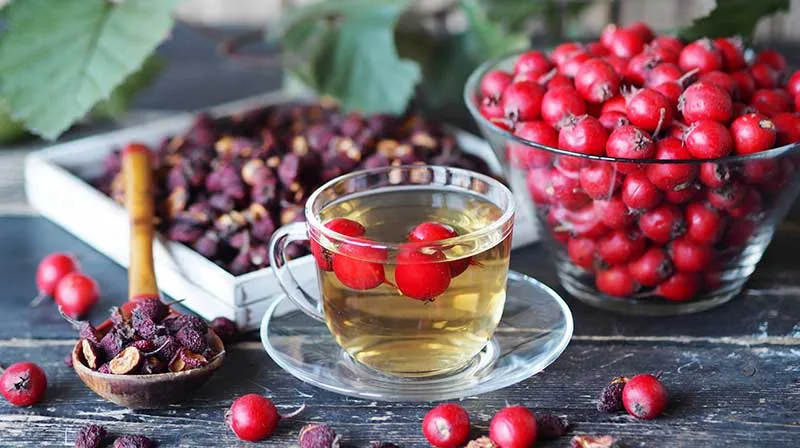 Hawthorn Tea