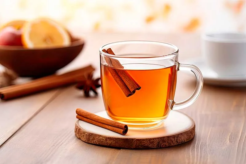 Cinnamon Tea