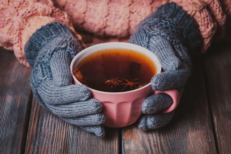 Best Herbal Teas for Cold Winter Days & Evenings