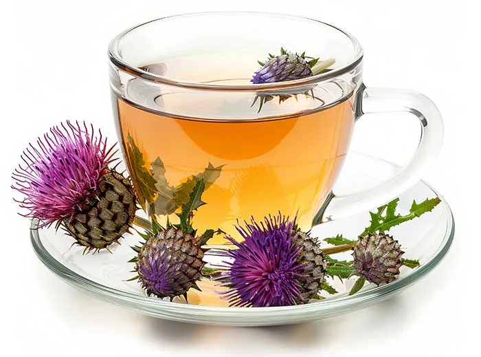 Milk Thistle Tea