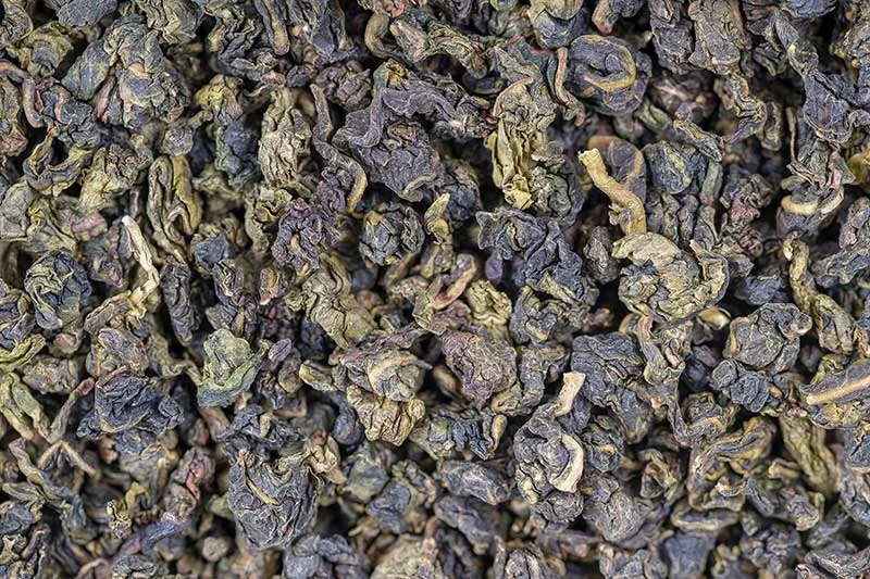 Gunpowder Green Tea