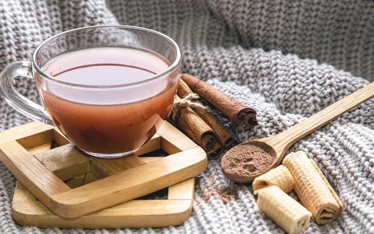 Everything You Should Know About Cacao Tea and How to Brew it
