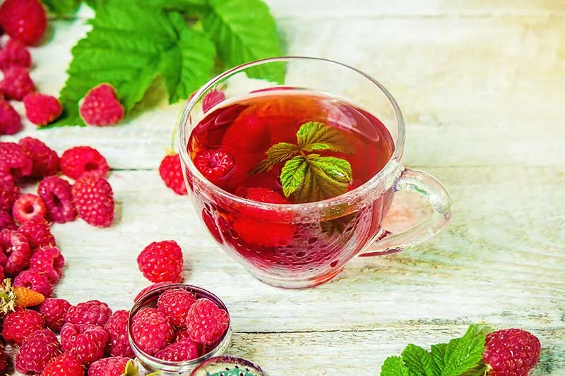 Raspberry Leaf Tea