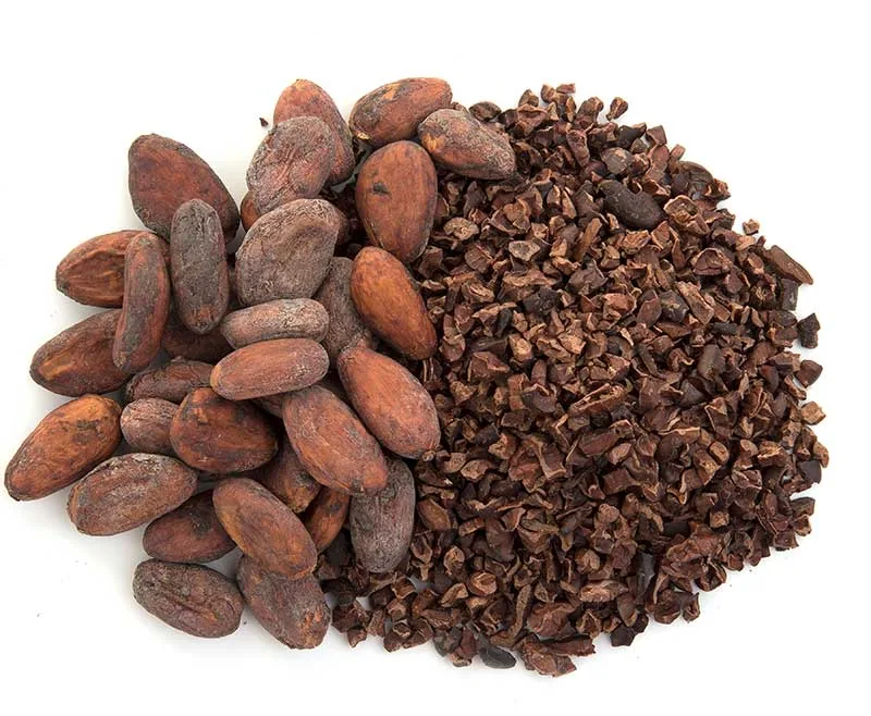 Crushed and Ground Cacao Beans for Cacao Tea