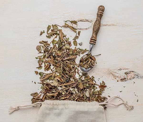 White Willow Bark Tea