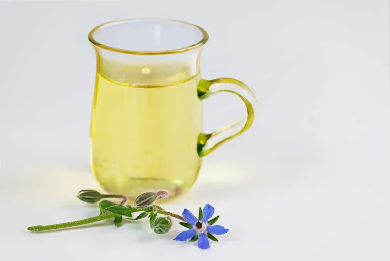 Everything You Should Know About the Origin, Health Benefits, and Recipes of Borage