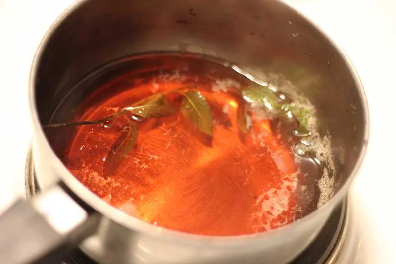 Peppermint Decoction