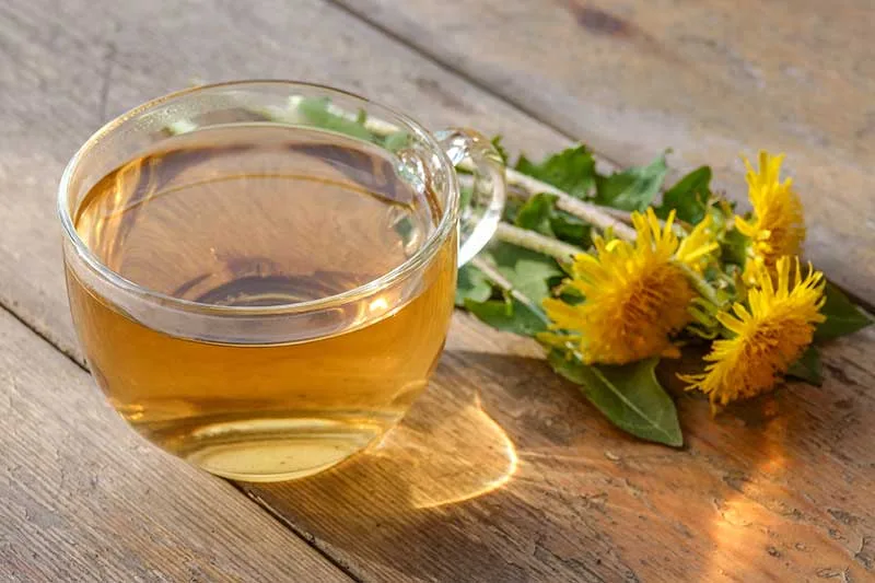 Dandelion Root Tea