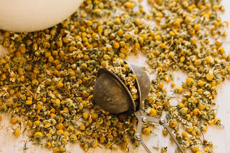 Chamomile Tea