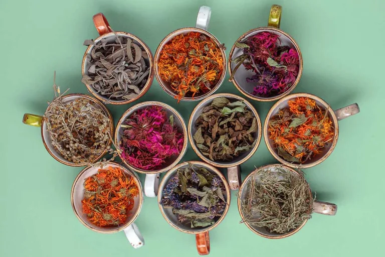 A Cheatsheet of Popular Herbal Teas' Health Benefits and Brewing Instructions