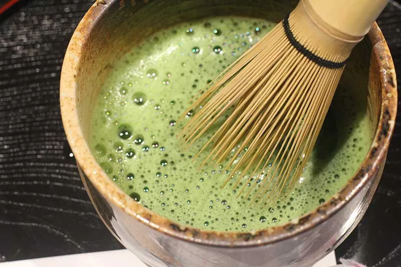 Matcha Tea Foam