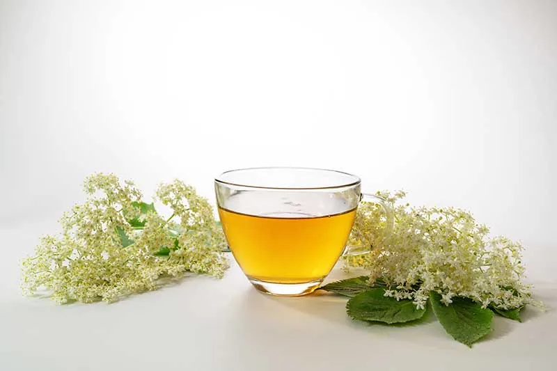 Valerian Tea