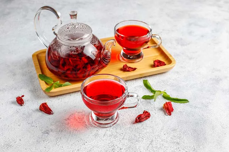 Hibiscus Tea