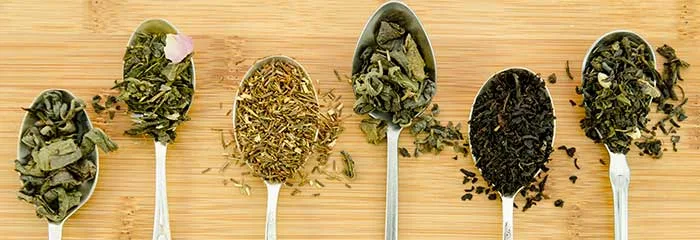Different Types of Green Tea