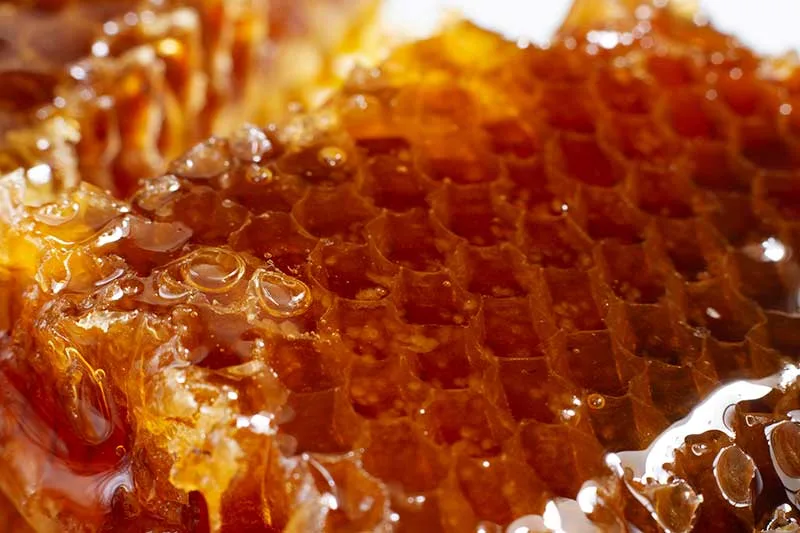 Raw, Organic, Natural Honey