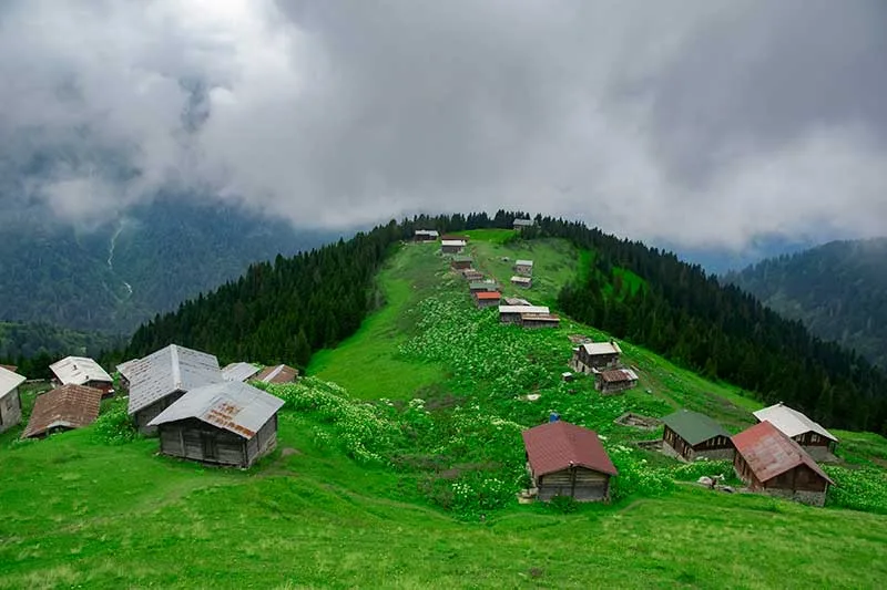 Rize Region in Turkey Famous for Its Tea Cultivation