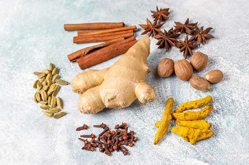 Cardamom Seed as The Best Base Herb for Herbal Teas