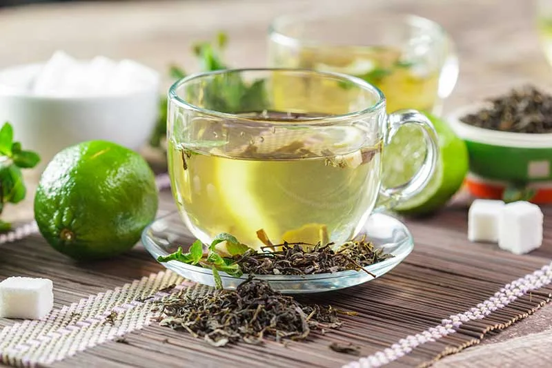 Classic Green Tea