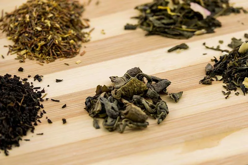 Longjing Tea