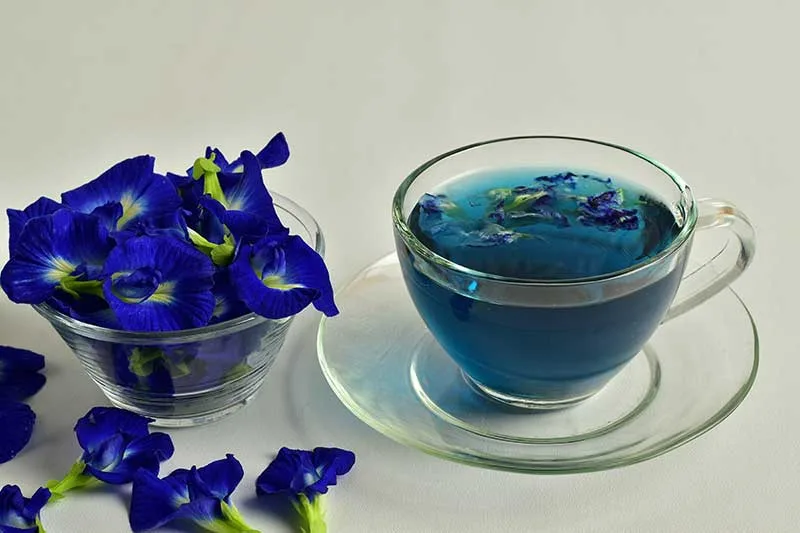 Borage Tea