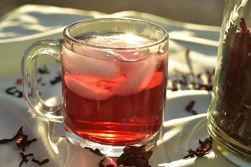 Rooibos Iced Tea