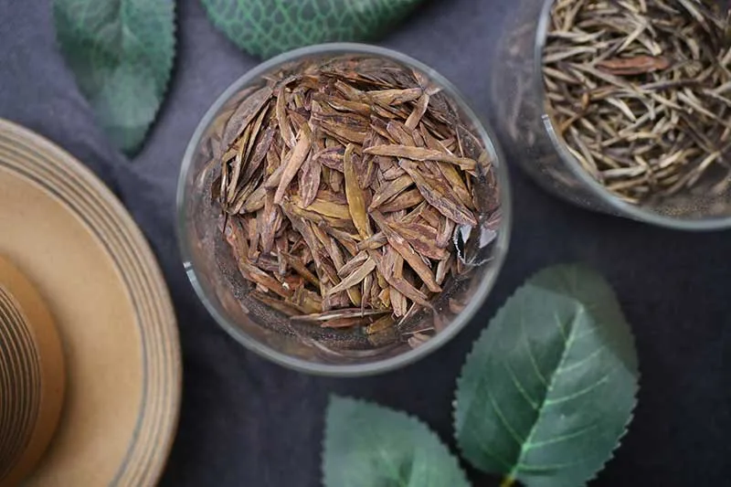 Hojicha Tea