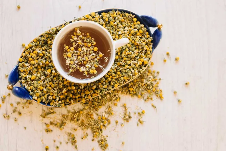 Origins, History, and Health Benefits of Chamomile Tea