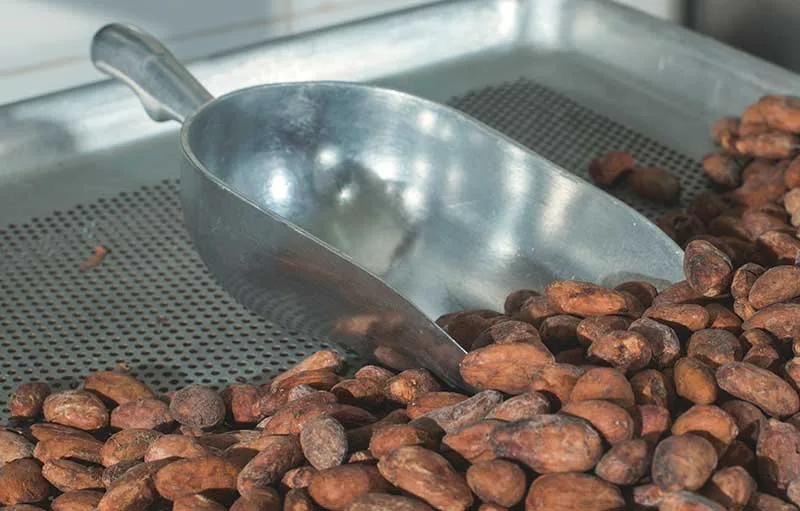 Roasting Cacao Beans