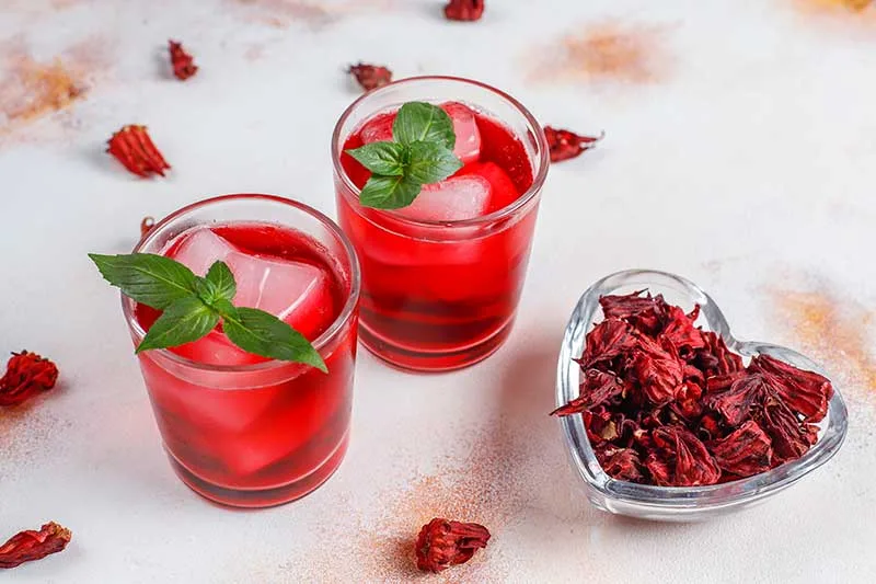 Hibiscus Iced Tea