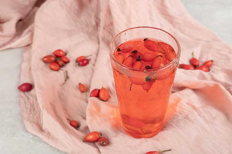 Red Rose and Sour Tea for Children