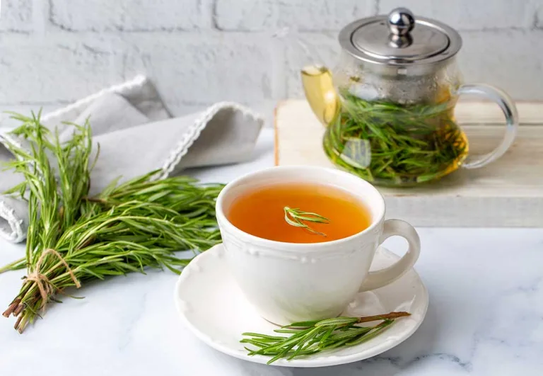 Origin, Health Benefits, and Recipes of Rosemary Tea